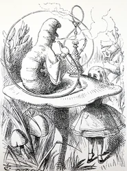 Alice